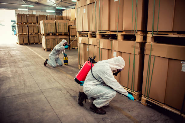 Best Exterminator Services  in Parkville, MO
