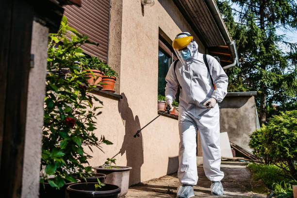 Best Termite Control Services  in Parkville, MO