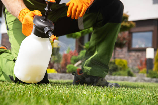 Best Emergency Pest Control  in Parkville, MO