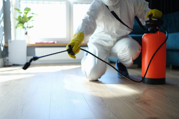 Reliable Parkville, MO Pest Control Solutions