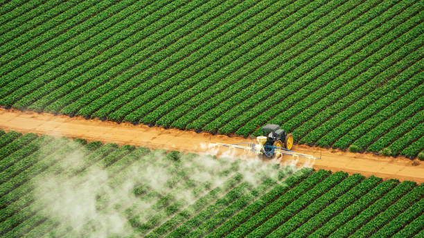 Best Mosquito Control Services  in Parkville, MO