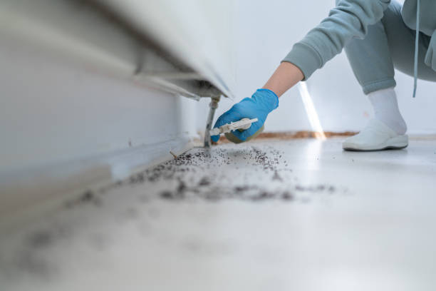 Best Best Pest Control Companies  in Parkville, MO
