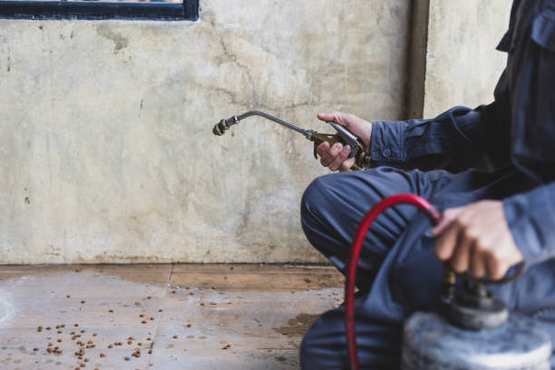 Best Pest Control Near Me in Parkville, MO